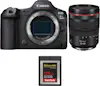 Canon EOS R5 Mark II + RF 24-105mm f/4 L IS USM + 1 SanD Canon EOS R5 Mark II + RF 24-105mm f/4 L IS USM + 1 SanD