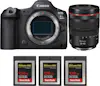 Canon EOS R5 Mark II + RF 24-105mm f/4 L IS USM + 3 SanD Canon EOS R5 Mark II + RF 24-105mm f/4 L IS USM + 3 SanD