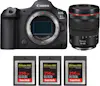 Canon EOS R5 Mark II + RF 24-105mm f/4 L IS USM + 3 SanD Canon EOS R5 Mark II + RF 24-105mm f/4 L IS USM + 3 SanD