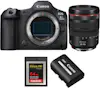 Canon EOS R5 Mark II + RF 24-105mm f/4 L IS USM + 1 SanD Canon EOS R5 Mark II + RF 24-105mm f/4 L IS USM + 1 SanD