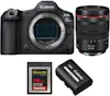 Canon EOS R5 Mark II + RF 24-105mm f/4 L IS USM + 1 SanD Canon EOS R5 Mark II + RF 24-105mm f/4 L IS USM + 1 SanD