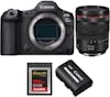 Canon EOS R5 Mark II + RF 24-105mm f/4 L IS USM + 1 SanD Canon EOS R5 Mark II + RF 24-105mm f/4 L IS USM + 1 SanD