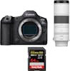 Canon EOS R5 Mark II + RF 200-800mm f/6.3-9 IS USM + 1 S Canon EOS R5 Mark II + RF 200-800mm f/6.3-9 IS USM + 1 S