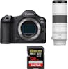 Canon EOS R5 Mark II + RF 200-800mm f/6.3-9 IS USM + 1 S Canon EOS R5 Mark II + RF 200-800mm f/6.3-9 IS USM + 1 S