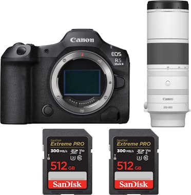 Canon EOS R5 Mark II + RF 200-800mm f/6.3-9 IS USM + 2 S Canon EOS R5 Mark II + RF 200-800mm f/6.3-9 IS USM + 2 S