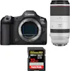 Canon EOS R5 Mark II + RF 100-500mm f/4.5-7.1 L IS USM + Canon EOS R5 Mark II + RF 100-500mm f/4.5-7.1 L IS USM +