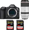 Canon EOS R5 Mark II + RF 100-500mm f/4.5-7.1 L IS USM + Canon EOS R5 Mark II + RF 100-500mm f/4.5-7.1 L IS USM +