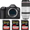 Canon EOS R5 Mark II + RF 100-500mm f/4.5-7.1 L IS USM + Canon EOS R5 Mark II + RF 100-500mm f/4.5-7.1 L IS USM +