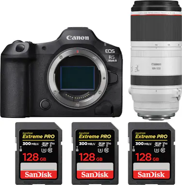 Canon EOS R5 Mark II + RF 100-500mm f/4.5-7.1 L IS USM + Canon EOS R5 Mark II + RF 100-500mm f/4.5-7.1 L IS USM +