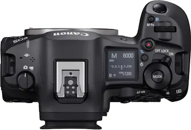 Canon EOS R5 Mark II + RF 100-500mm f/4.5-7.1 L IS USM + Canon EOS R5 Mark II + RF 100-500mm f/4.5-7.1 L IS USM +