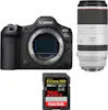 Canon EOS R5 Mark II + RF 100-500mm f/4.5-7.1 L IS USM + Canon EOS R5 Mark II + RF 100-500mm f/4.5-7.1 L IS USM +
