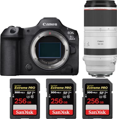 Canon EOS R5 Mark II + RF 100-500mm f/4.5-7.1 L IS USM + Canon EOS R5 Mark II + RF 100-500mm f/4.5-7.1 L IS USM +