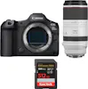 Canon EOS R5 Mark II + RF 100-500mm f/4.5-7.1 L IS USM + Canon EOS R5 Mark II + RF 100-500mm f/4.5-7.1 L IS USM +