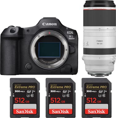 Canon EOS R5 Mark II + RF 100-500mm f/4.5-7.1 L IS USM + Canon EOS R5 Mark II + RF 100-500mm f/4.5-7.1 L IS USM +