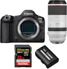 Canon EOS R5 Mark II + RF 100-500mm f/4.5-7.1 L IS USM + Canon EOS R5 Mark II + RF 100-500mm f/4.5-7.1 L IS USM +