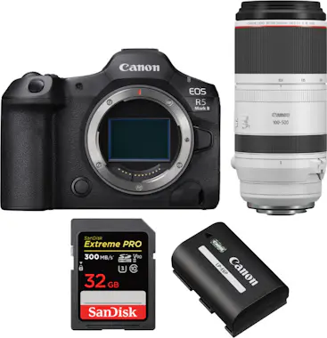 Canon EOS R5 Mark II + RF 100-500mm f/4.5-7.1 L IS USM + Canon EOS R5 Mark II + RF 100-500mm f/4.5-7.1 L IS USM +