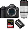 Canon EOS R5 Mark II + RF 100-500mm f/4.5-7.1 L IS USM + Canon EOS R5 Mark II + RF 100-500mm f/4.5-7.1 L IS USM +