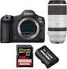 Canon EOS R5 Mark II + RF 100-500mm f/4.5-7.1 L IS USM + Canon EOS R5 Mark II + RF 100-500mm f/4.5-7.1 L IS USM +