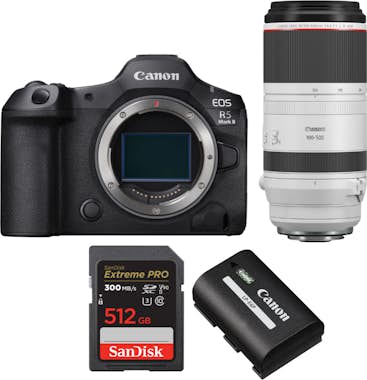 Canon EOS R5 Mark II + RF 100-500mm f/4.5-7.1 L IS USM + Canon EOS R5 Mark II + RF 100-500mm f/4.5-7.1 L IS USM +