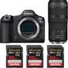 Canon EOS R5 Mark II + RF 100-400mm f/5.6-8 IS USM + 3 S Canon EOS R5 Mark II + RF 100-400mm f/5.6-8 IS USM + 3 S