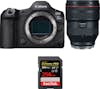 Canon EOS R5 Mark II + RF 28-70mm f/2 L USM + 1 SanDisk Canon EOS R5 Mark II + RF 28-70mm f/2 L USM + 1 SanDisk