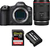 Canon EOS R5 Mark II + RF 35mm f/1.4 L VCM + 1 SanDisk 1 Canon EOS R5 Mark II + RF 35mm f/1.4 L VCM + 1 SanDisk 1
