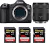 Canon EOS R5 Mark II + RF 85mm f/2 Macro IS STM + 3 SanD Canon EOS R5 Mark II + RF 85mm f/2 Macro IS STM + 3 SanD