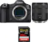 Canon EOS R5 Mark II + RF 85mm f/2 Macro IS STM + 1 SanD Canon EOS R5 Mark II + RF 85mm f/2 Macro IS STM + 1 SanD