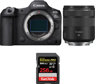 Canon EOS R5 Mark II + RF 85mm f/2 Macro IS STM + 1 SanD Canon EOS R5 Mark II + RF 85mm f/2 Macro IS STM + 1 SanD
