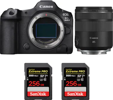 Canon EOS R5 Mark II + RF 85mm f/2 Macro IS STM + 2 SanD Canon EOS R5 Mark II + RF 85mm f/2 Macro IS STM + 2 SanD