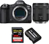 Canon EOS R5 Mark II + RF 85mm f/2 Macro IS STM + 1 SanD Canon EOS R5 Mark II + RF 85mm f/2 Macro IS STM + 1 SanD