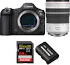Canon EOS R5 Mark II + RF 70-200mm f/4 L IS USM + 1 SanD Canon EOS R5 Mark II + RF 70-200mm f/4 L IS USM + 1 SanD