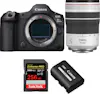 Canon EOS R5 Mark II + RF 70-200mm f/4 L IS USM + 1 SanD Canon EOS R5 Mark II + RF 70-200mm f/4 L IS USM + 1 SanD