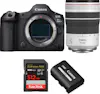 Canon EOS R5 Mark II + RF 70-200mm f/4 L IS USM + 1 SanD Canon EOS R5 Mark II + RF 70-200mm f/4 L IS USM + 1 SanD