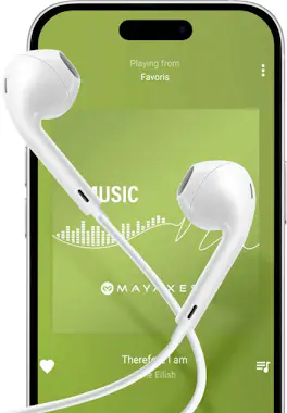 Mayaxess Auriculares con cable USB-C para iPhone 17 con mic Mayaxess Auriculares con cable USB-C para iPhone 17 con mic