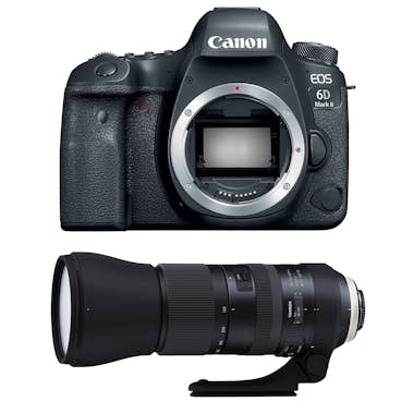 Canon EOS 6D Mark II + Tamron SP 150-600mm F5-6.3 Di VC Canon EOS 6D Mark II + Tamron SP 150-600mm F5-6.3 Di VC