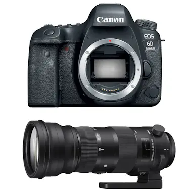 Canon EOS 6D Mark II + Sigma 150-600mm f/5.0-6.3 DG OS H Canon EOS 6D Mark II + Sigma 150-600mm f/5.0-6.3 DG OS H
