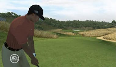 Electronic Arts Electronic Arts Tiger Woods PGA Tour 08, Wii vídeo Electronic Arts Electronic Arts Tiger Woods PGA Tour 08, Wii vídeo
