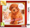 Nintendo Nintendo Nintendogs + Cats: Toy Poodle, 3DS vídeo Nintendo Nintendo Nintendogs + Cats: Toy Poodle, 3DS vídeo