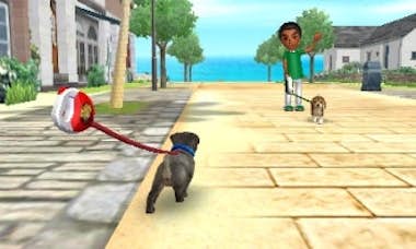 Nintendo Nintendo Nintendogs + Cats: Toy Poodle, 3DS vídeo Nintendo Nintendo Nintendogs + Cats: Toy Poodle, 3DS vídeo