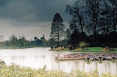 Cokin Cokin WP1R121 filtro de lente de cámara 8,4 cm Cokin Cokin WP1R121 filtro de lente de cámara 8,4 cm