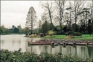 Cokin Cokin WP1R121 filtro de lente de cámara 8,4 cm Cokin Cokin WP1R121 filtro de lente de cámara 8,4 cm