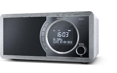 Sharp Sharp DR-450(GR) radio Reloj Analógico y digital G Sharp Sharp DR-450(GR) radio Reloj Analógico y digital G