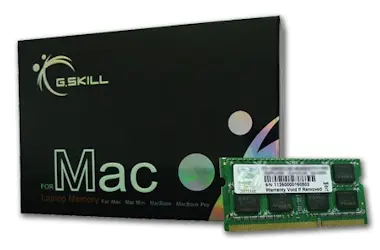G.Skill G.Skill 4GB DDR3-1066 SQ MAC módulo de memoria 106 G.Skill G.Skill 4GB DDR3-1066 SQ MAC módulo de memoria 106