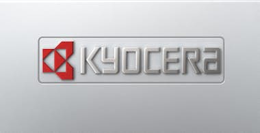 Kyocera KYOCERA ECOSYS P3155dn 1200 x 1200 DPI A4