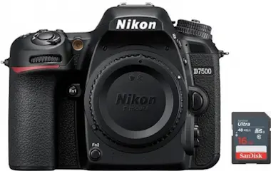Nikon NIKON D7500 Cuerpo + Tarjeta SD de 16 GB Nikon NIKON D7500 Cuerpo + Tarjeta SD de 16 GB