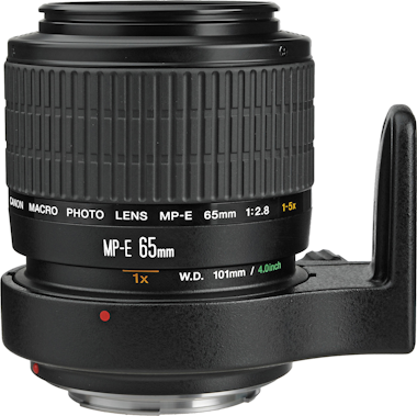 Canon MP-E 65mm f/2.8 1-5x Macro Photo Canon MP-E 65mm f/2.8 1-5x Macro Photo