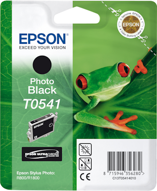 Epson Cartucho T0541 (Negro foto)