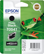 Epson Cartucho T0541 (Negro foto)