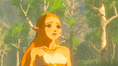 Nintendo Nintendo The Legend of Zelda: Breath of the Wild S